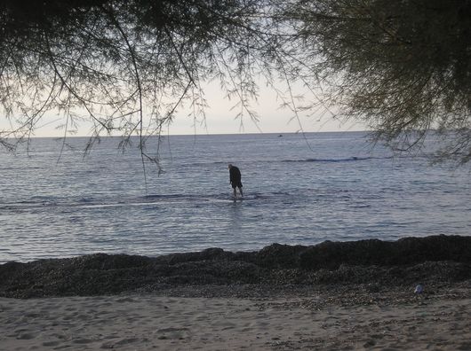 Controluce2 - IN  CONTROLUCE