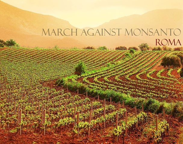 MANIFESTAZIONE 
 INTERNAZIONALE CONTRO OGM 2 ogm - MANIFESTAZIONE 
 INTERNAZIONALE CONTRO OGM