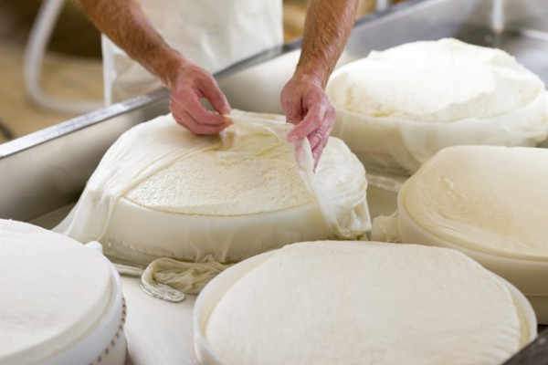 DALL'EUROPA
NUOVO ORDINE: L'ITALIA NON PUO' CONTINUARE A FARE IL FORMAGGIO
SENZA LATTE IN POLVERE 2 lip - DALL'EUROPA
NUOVO ORDINE: L'ITALIA NON PUO' CONTINUARE A FARE IL FORMAGGIO
SENZA LATTE IN POLVERE