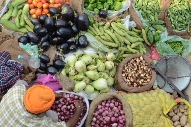 dm - LA  DIETA DELLA MENTE, PREVIENE L'ALZHEIMER E REGALA 7 ANNI DI VITA