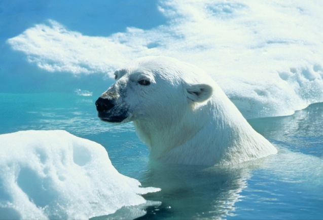 cli -  CLIMA, DOPO 20 ANNI ARRIVA LO STORICO ACCORDO
