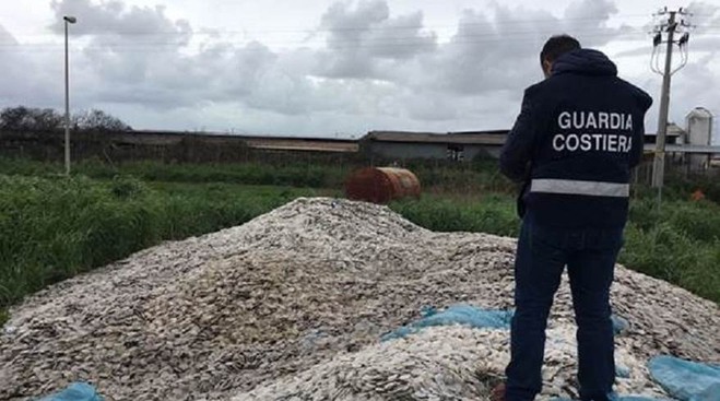 ddp - ECCO  COSA SONO I DISCHETTI DI PLASTICA CHE INFESTANO LE SPIAGGE DEL  TIRRENO