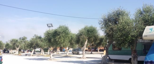 BARI,
ROM INCINTA A 13 ANNI, INTERVIENE IL TRIBUNALE 2 rom - BARI,
ROM INCINTA A 13 ANNI, INTERVIENE IL TRIBUNALE